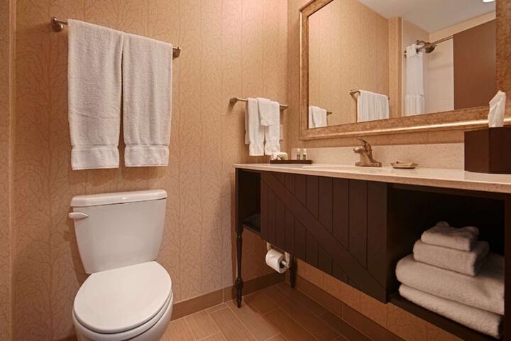 Best Western Plus Dayton Hotel & Suites