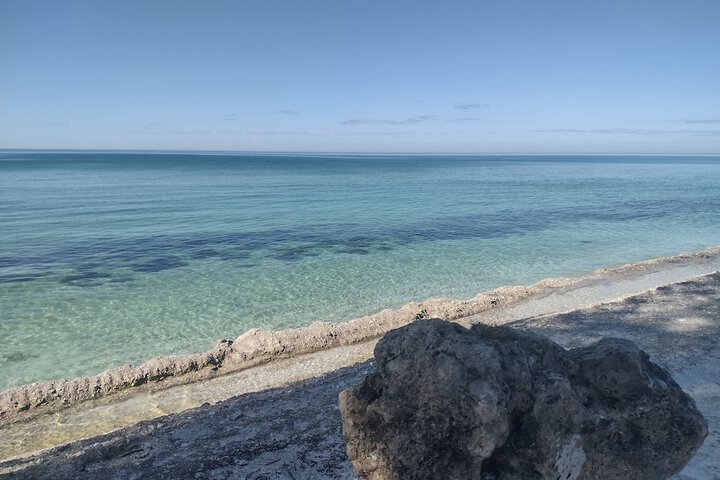 Bayfront Beauty