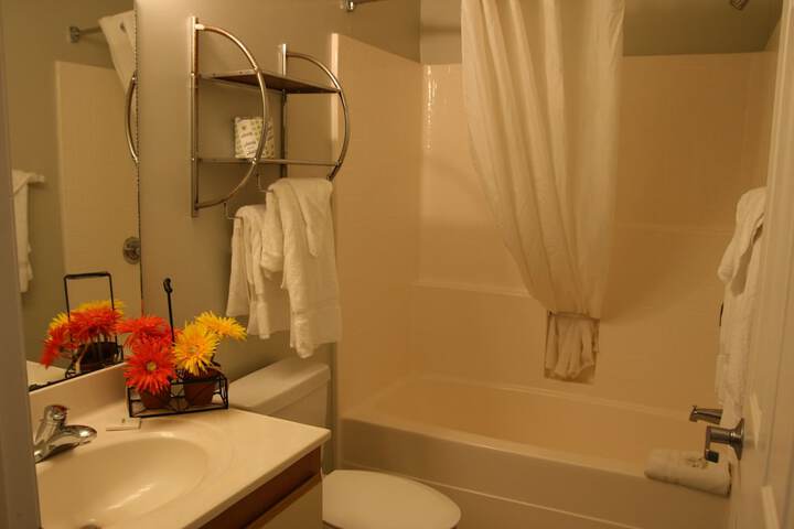 Affordable Suites Shelby