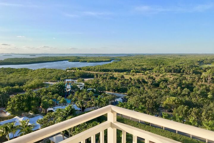 Hyatt Regency Coconut Point Resort & Spa