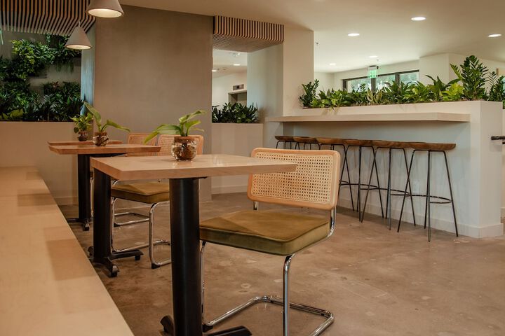 Brut Hotel