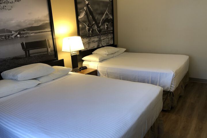 Room 25 of 35