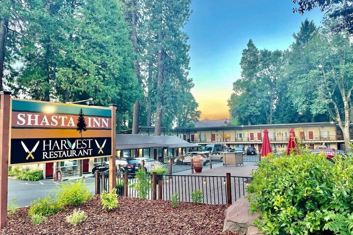 Shasta Inn