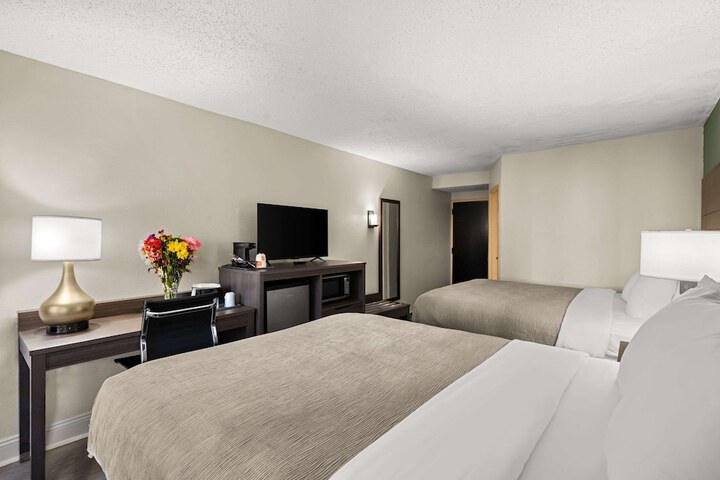 Room 19 of 40