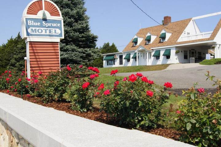 Hotel 4 of 39