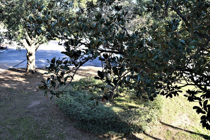 Property Grounds 30 of 40