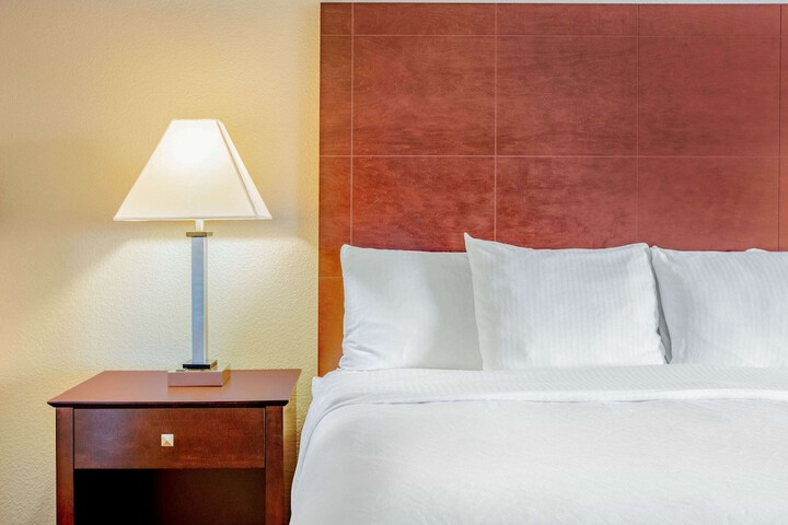 La Quinta Inn & Suites by Wyndham McKinney