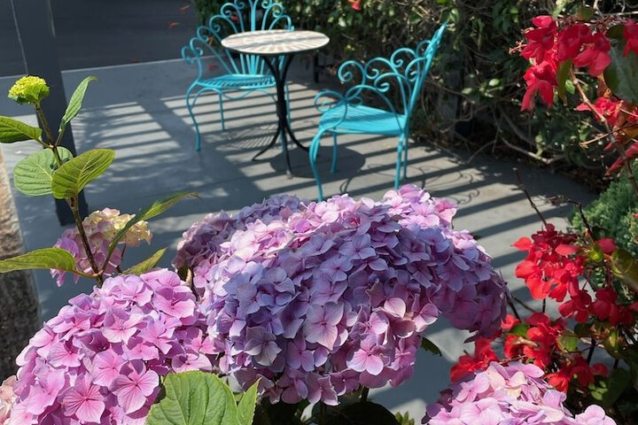 Terrace/Patio 48 of 59