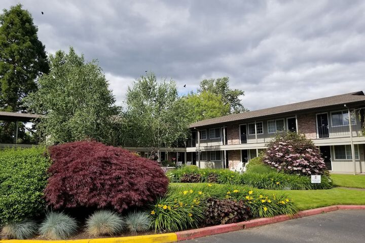 Village Inn Springfield
