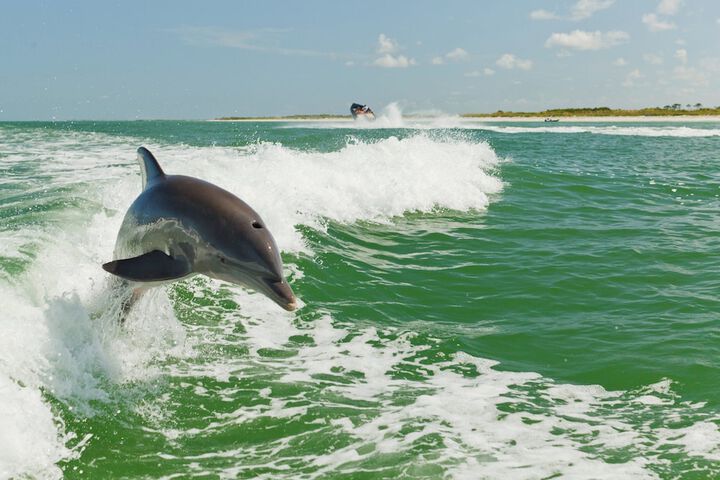 Holiday Inn & Suites Clearwater Beach S-Harbourside by IHG