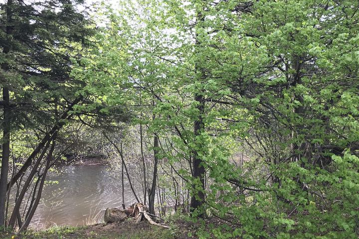 Property Grounds 21 of 21