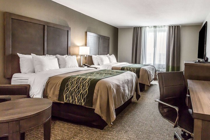 Comfort Inn & Suites Snyder