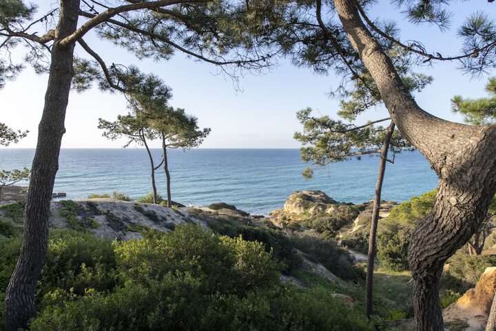 W Algarve