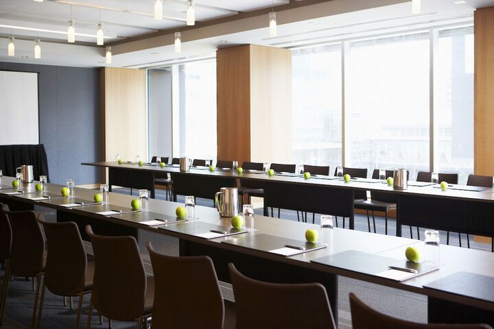 Meeting 45 of 70