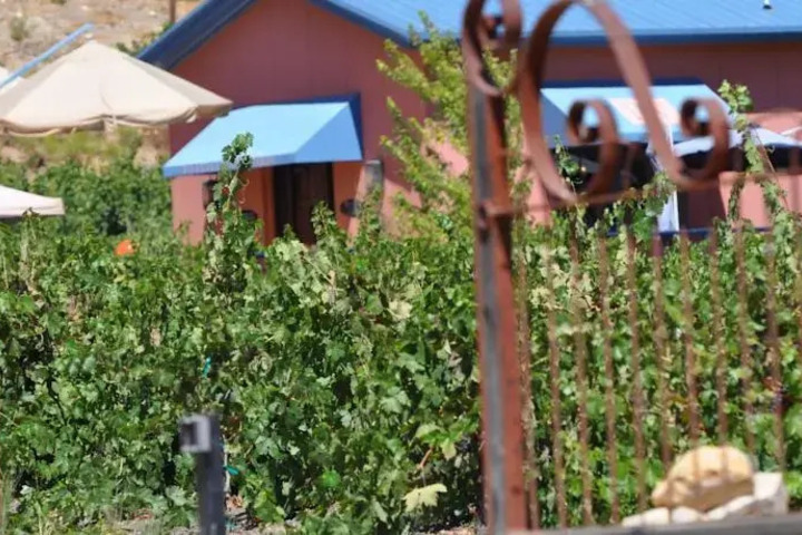 VILLA VINO AT POALILLO VINEYARDS