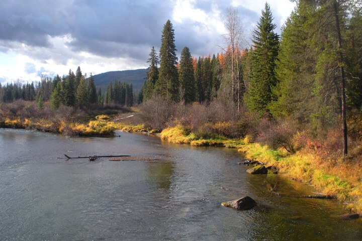 Laughing Horse Lodge