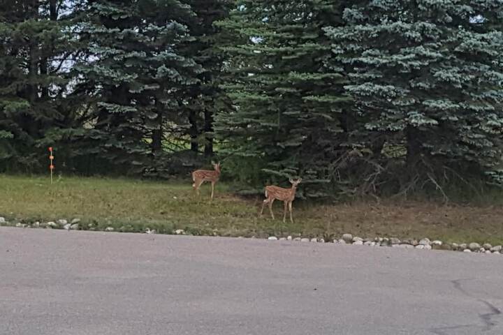 Property Grounds 17 of 18
