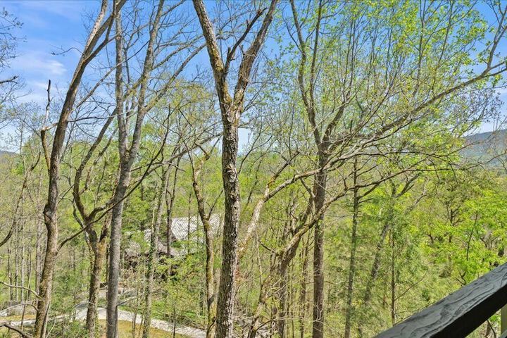 Laurel Valley Mountain Retreat