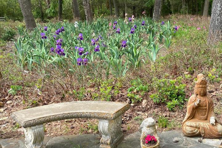 Dogwood Springs Lodgings