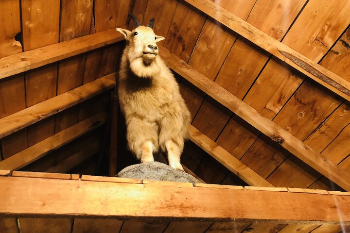 Wrangell Mountain Lodge