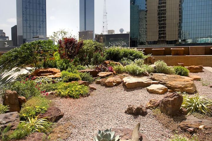 Fairmont Dallas