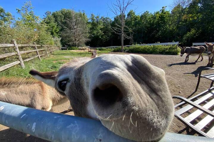 Modern Farm Home 2hr NYC BOS Peaceful Wifi