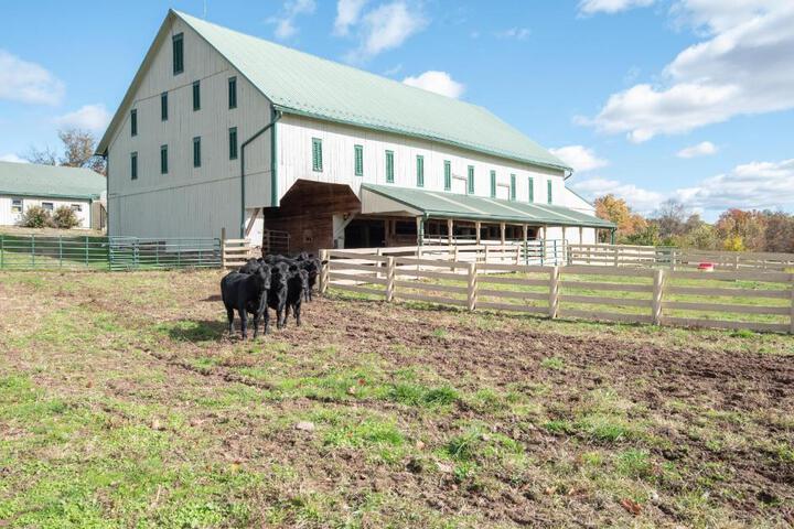 Cozy Cow Homestead with pool!