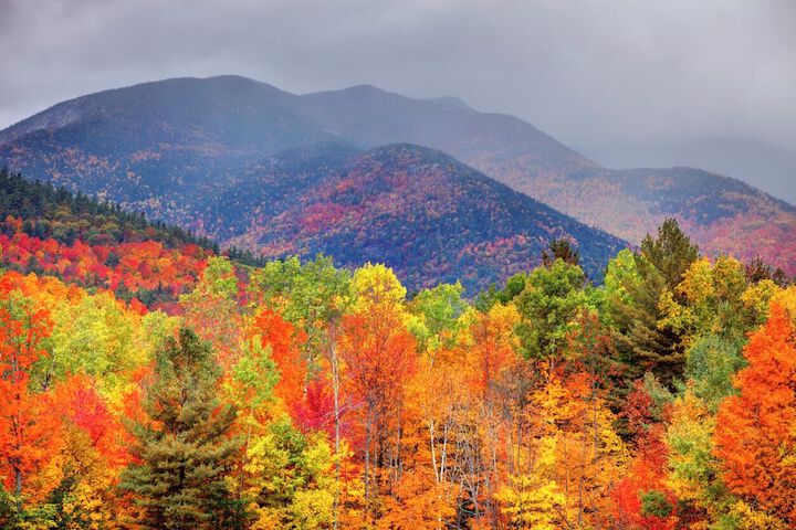 Grand Adirondack Hotel Lake Placid, a Tribute Portfolio Hotel