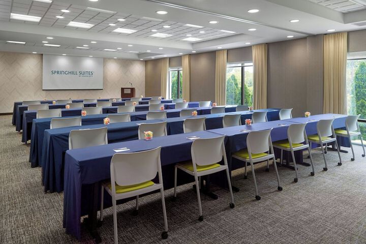 Springhill Suites by Marriott Hagerstown