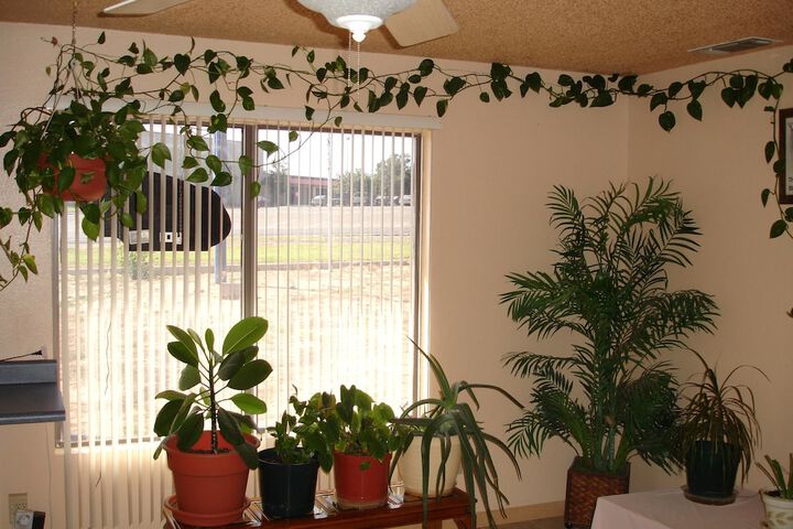 Hotel Interior 10 of 25
