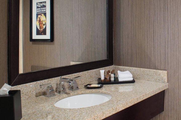 Sheraton North Houston at George Bush Intercontinental