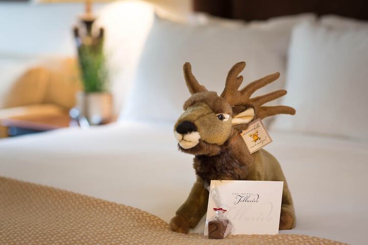 The Hotel Telluride