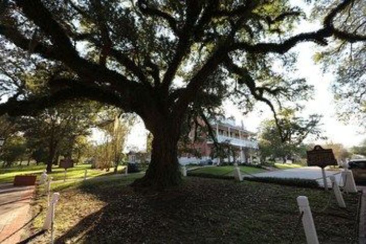 The Old Castillo Bed and Breakfast
