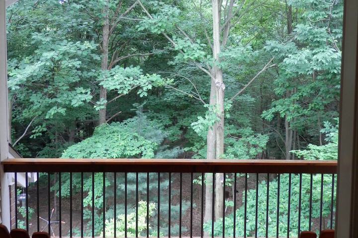 Terrace/Patio 42 of 53