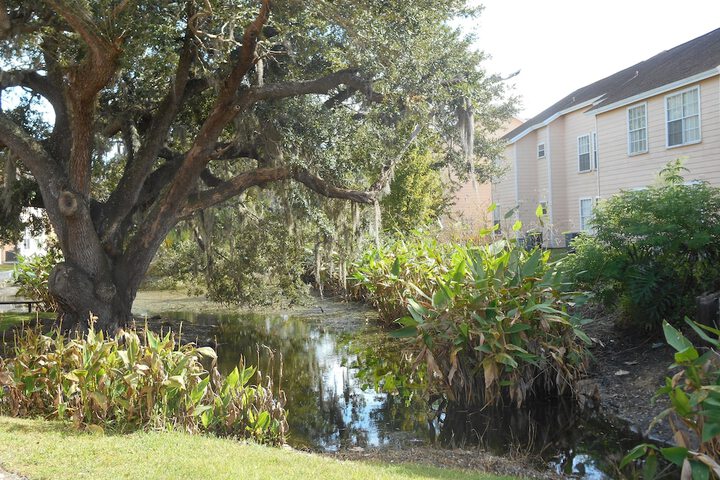 Property Grounds 45 of 49