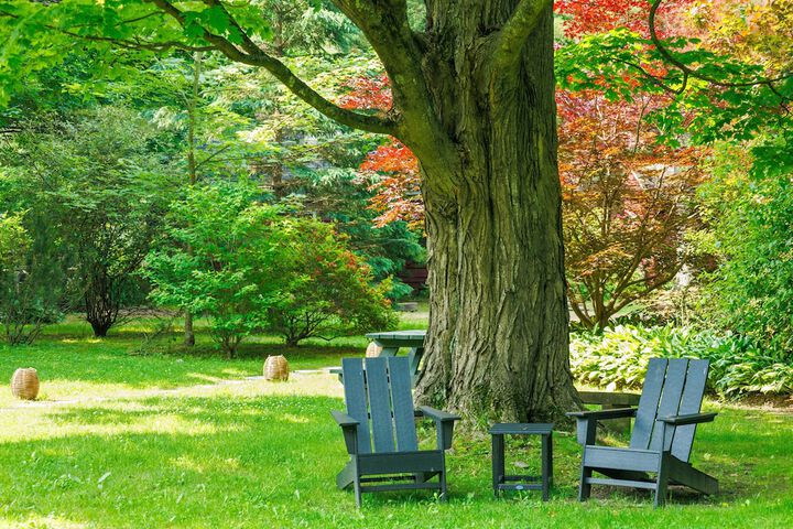 Phoenicia Lodge