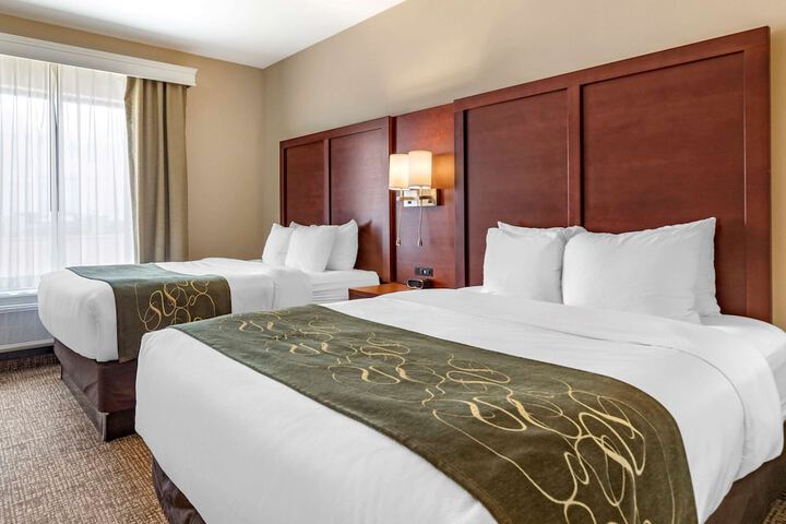 Comfort Suites Kyle