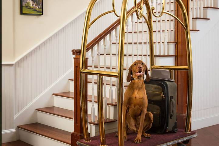 Pet Friendly 39 of 42