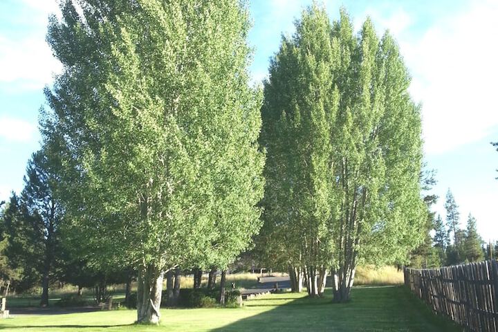 DiamondStone Guest Lodges