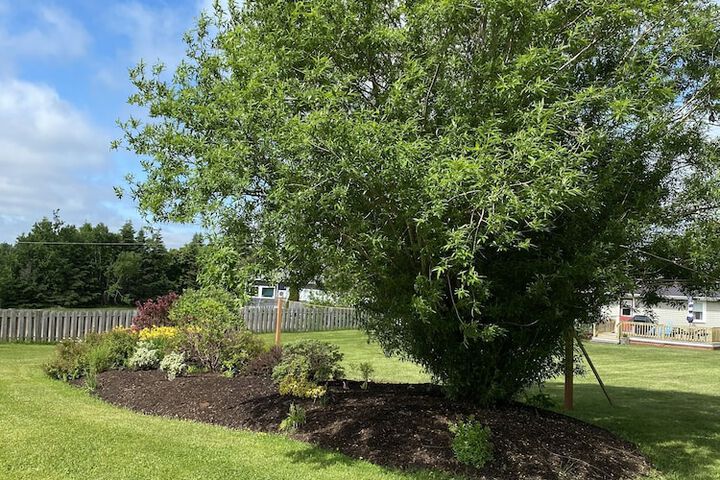 Cavendish Lodge & Cottages