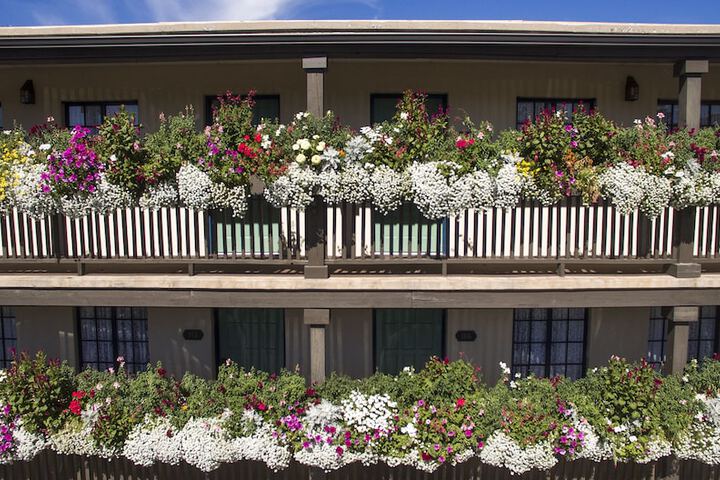 Hotel 5 of 45