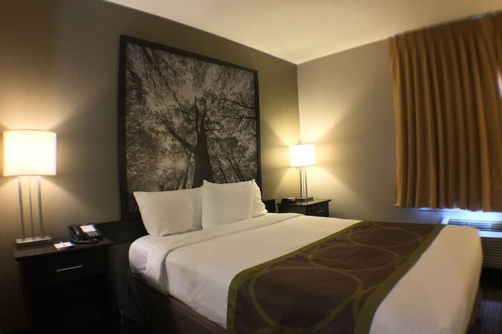 Room 49 of 55