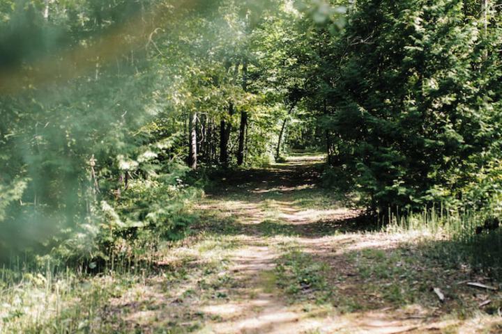 Whispering Springs Wilderness Retreat