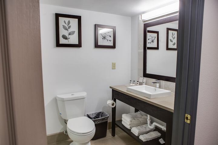 Country Inn & Suites by Radisson Harlingen, TX