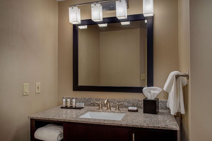Embassy Suites by Hilton St. Louis Airport