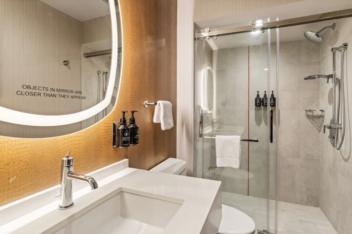 Hotel Indigo Baton Rouge Downtown by IHG