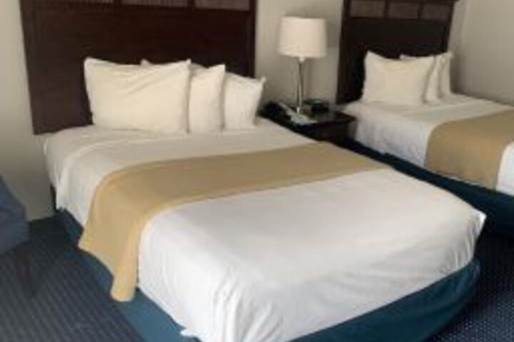 The Avenue Hotel