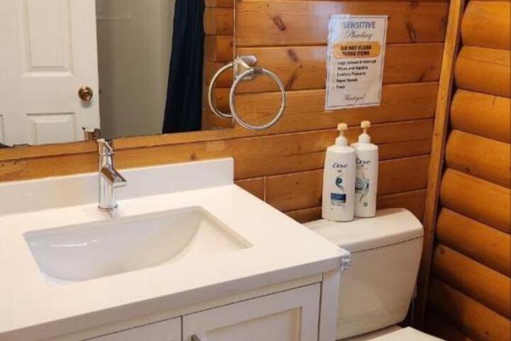 Mt. Revelstoke Alpine Chalets