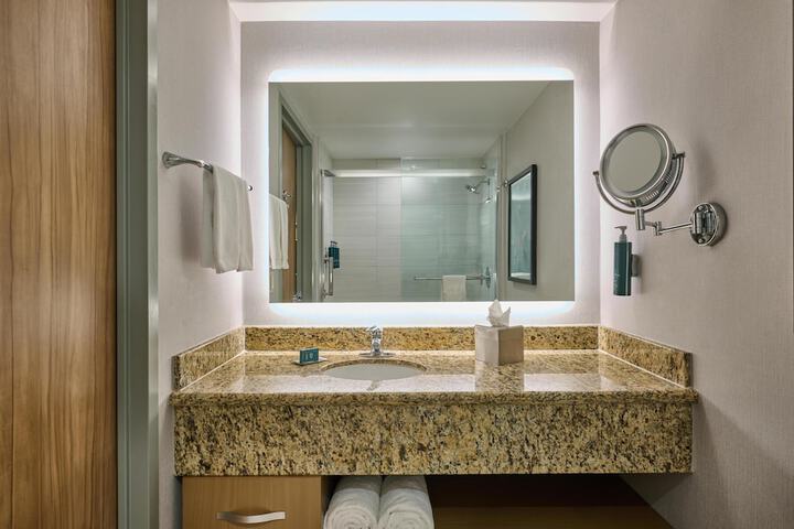 Hotel Zessa Orange County Airport a DoubleTree by Hilton