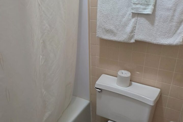 DELUXE INN SHAMROCK